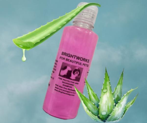 PINK SHAMPOO – Schützende Reinigung